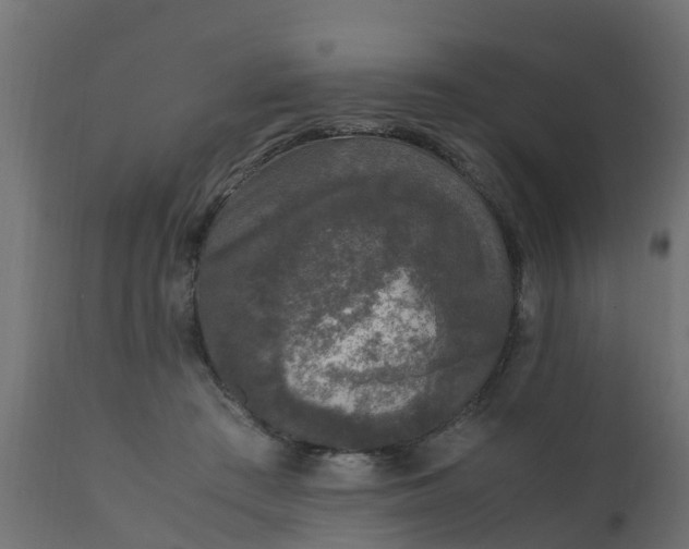 X0000110710409200906261436