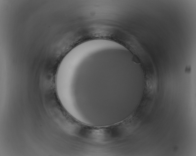 X0000110710411200906261436