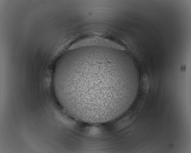 X0000110710412200906261436