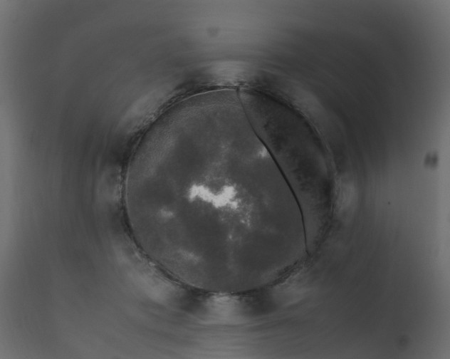 X0000110710413200906261436