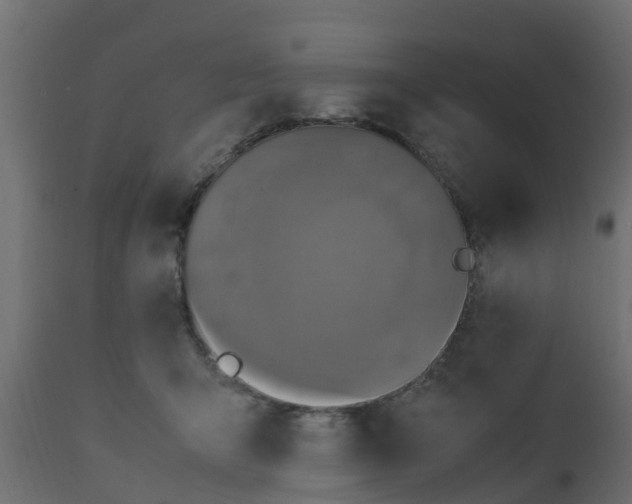 X0000110710415200906261436