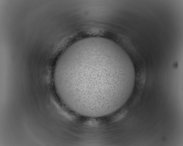 X0000110710416200906261436