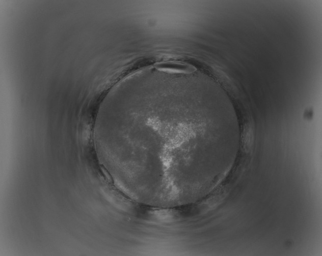 X0000110710417200906261436