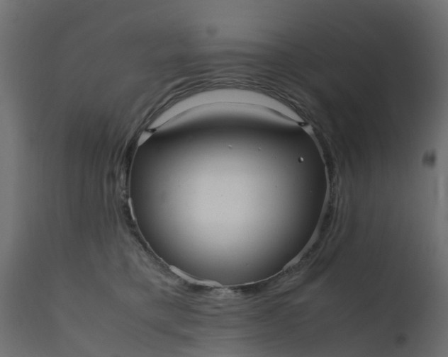 X0000110710421200906261436