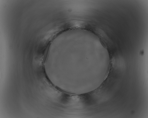 X0000110710423200906261436