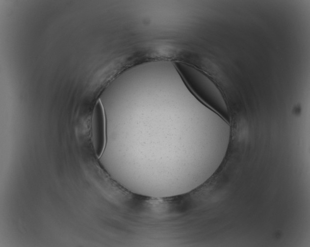 X0000110710425200906261436
