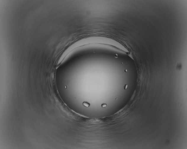 X0000110710427200906261436