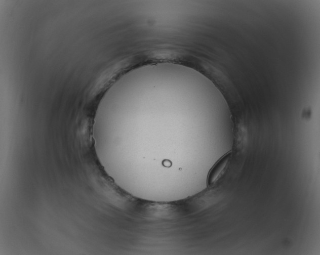 X0000110710428200906261436