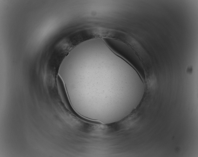X0000110710429200906261436