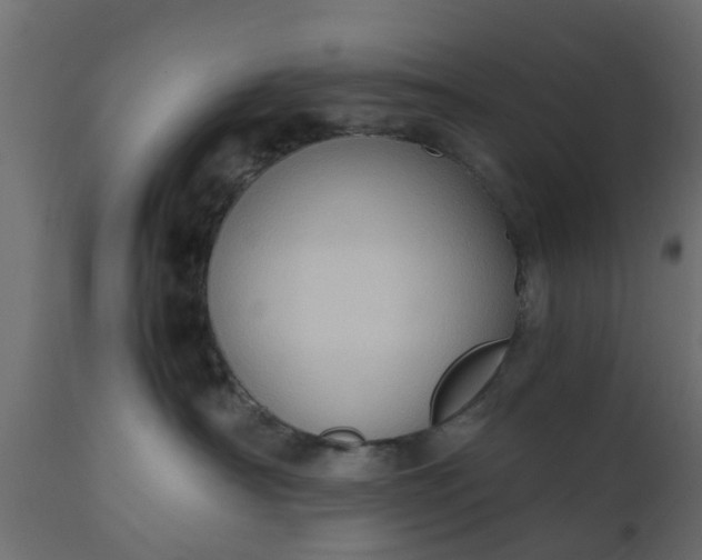 X0000110710430200906261436