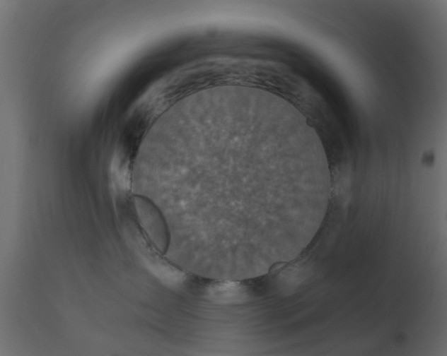 X0000110710431200906261436