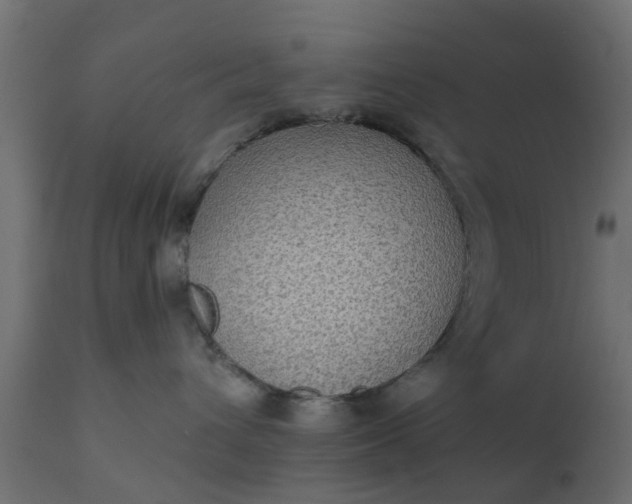 X0000110710432200906261436