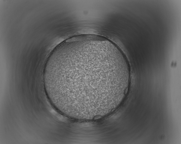 X0000110710433200906261435