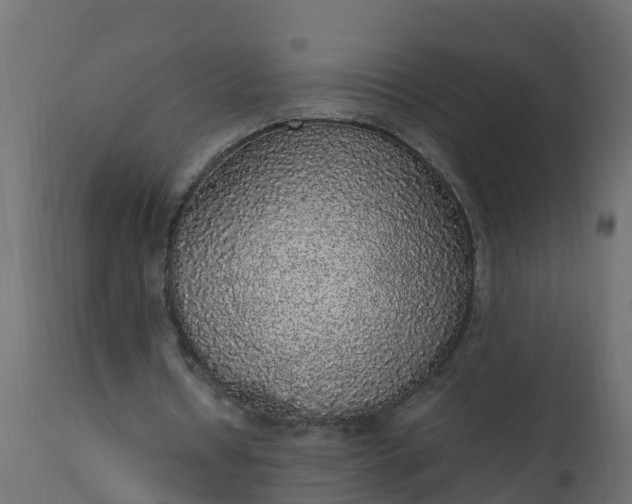 X0000110710434200906261435