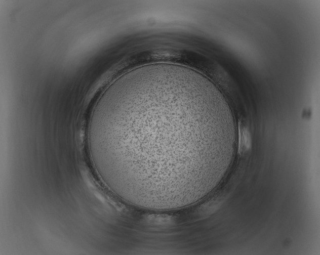 X0000110710435200906261435