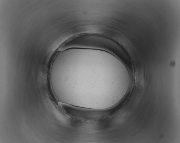X0000110710436200906261435