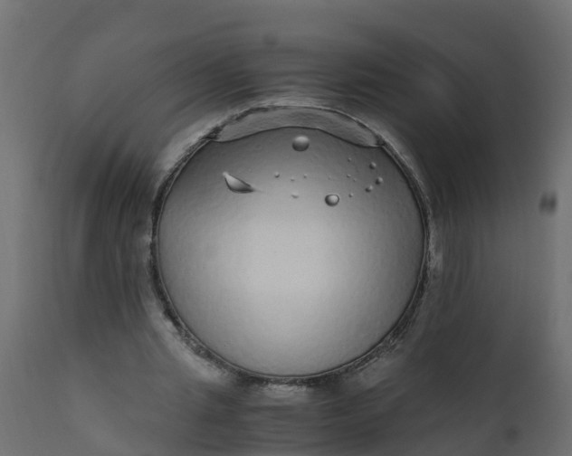 X0000110710437200906261435