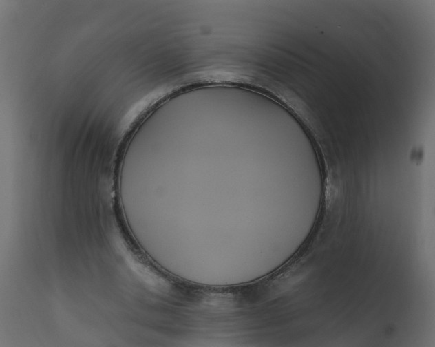 X0000110710438200906261435
