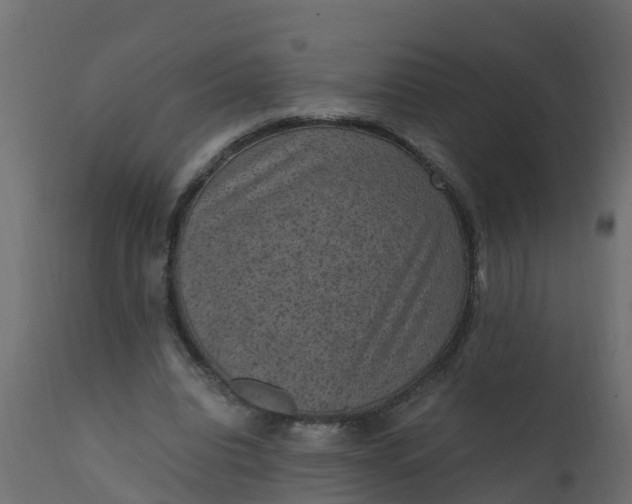 X0000110710440200906261435