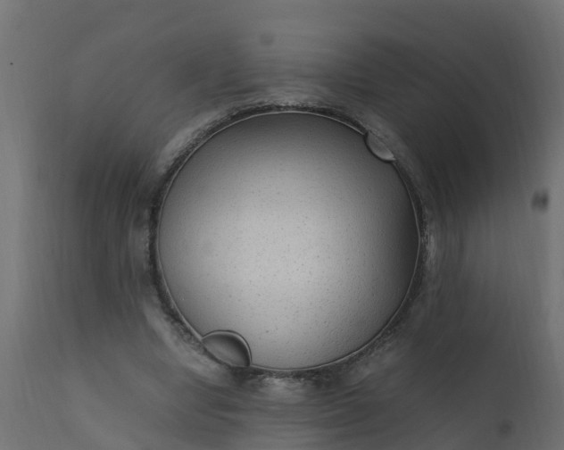 X0000110710442200906261435