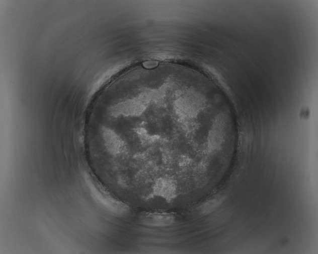 X0000110710443200906261435