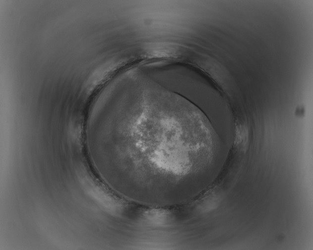 X0000110710444200906261435