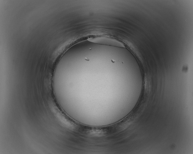 X0000110710445200906261435
