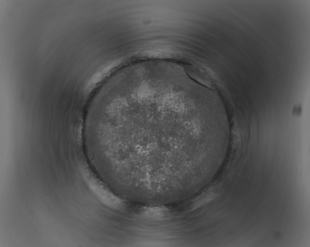 X0000110710446200906261435