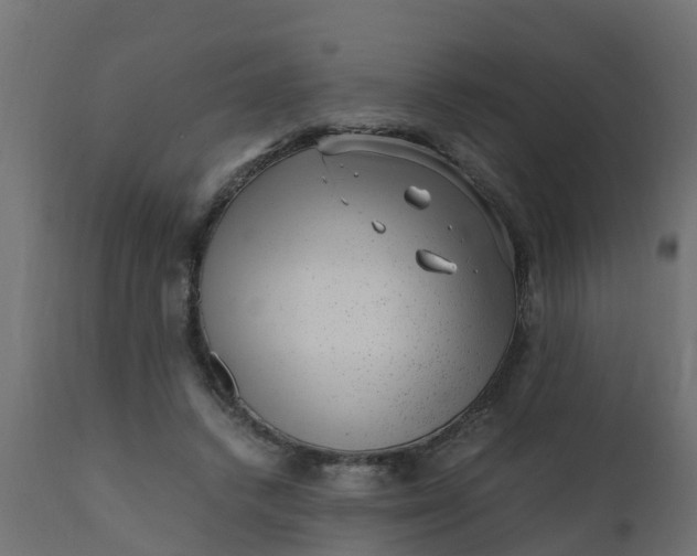 X0000110710448200906261435