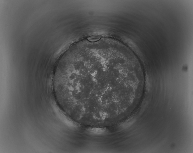X0000110710449200906261435