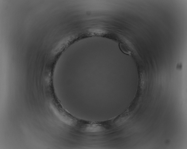 X0000110710451200906261435