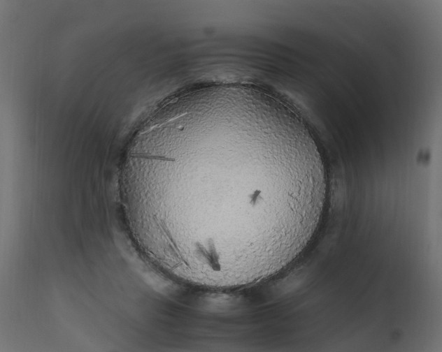 X0000110710453200906261435