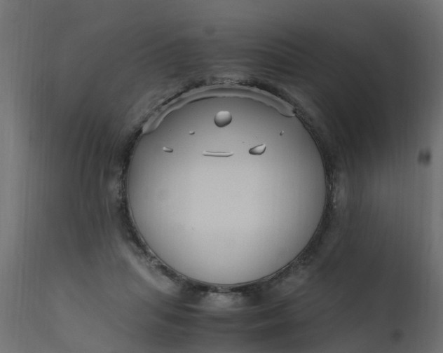 X0000110710455200906261435