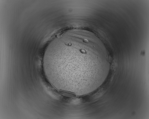 X0000110710456200906261435