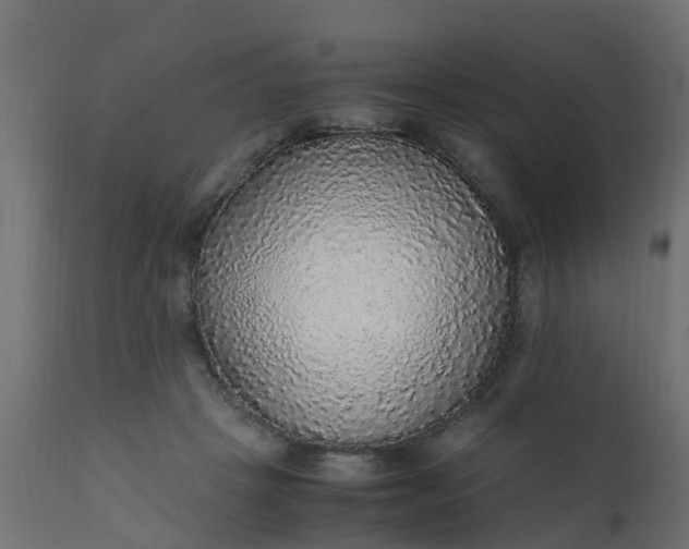 X0000110710457200906261435