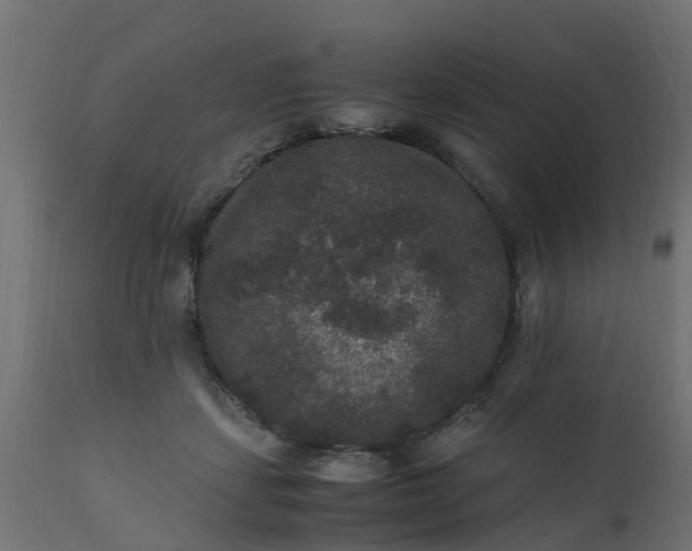 X0000110710459200906261435