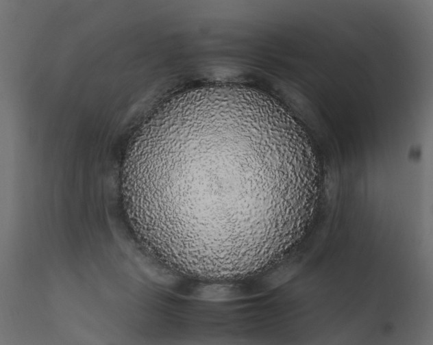 X0000110710461200906261435