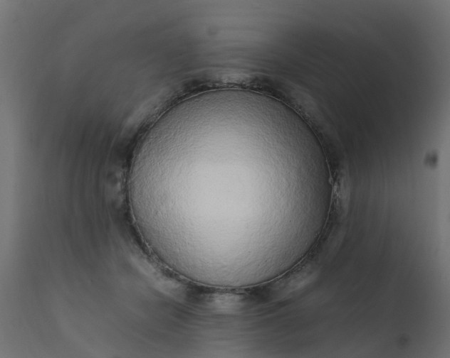 X0000110710462200906261435