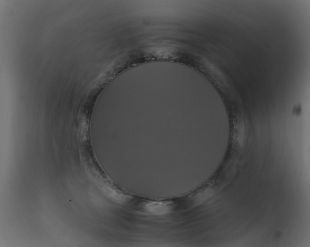 X0000110710465200906261435