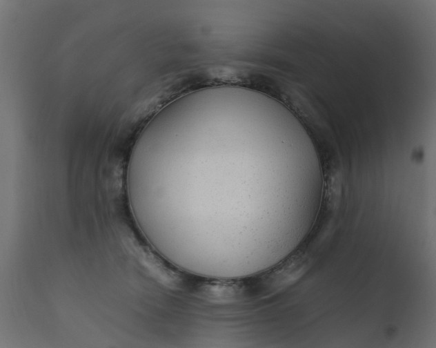 X0000110710466200906261435
