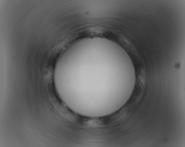 X0000110710468200906261435