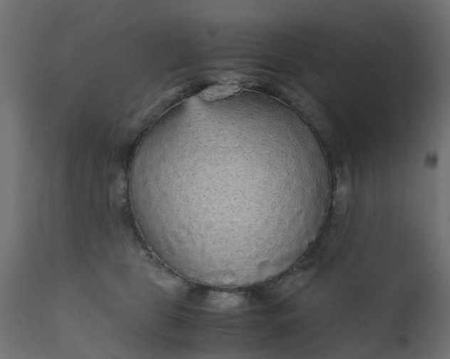 X0000110710469200906261435