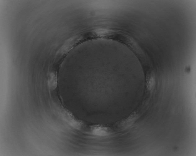X0000110710471200906261435