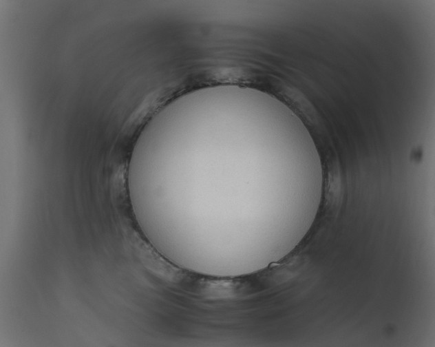 X0000110710473200906261435