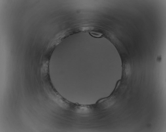 X0000110710475200906261435
