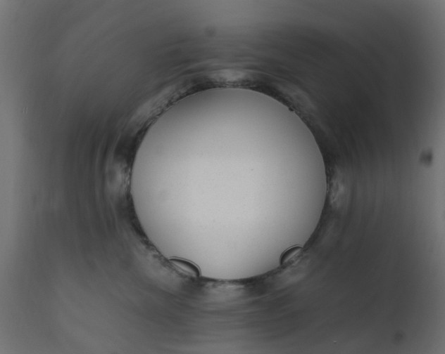 X0000110710476200906261435