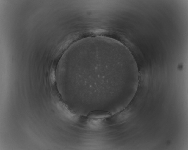 X0000110710479200906261435