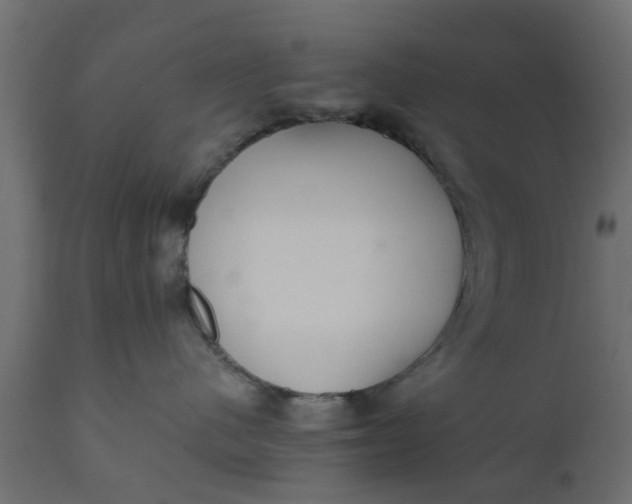 X0000110710480200906261435