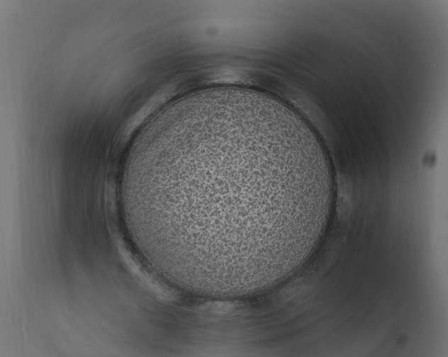 X0000110710482200906261435