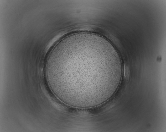 X0000110710483200906261435
